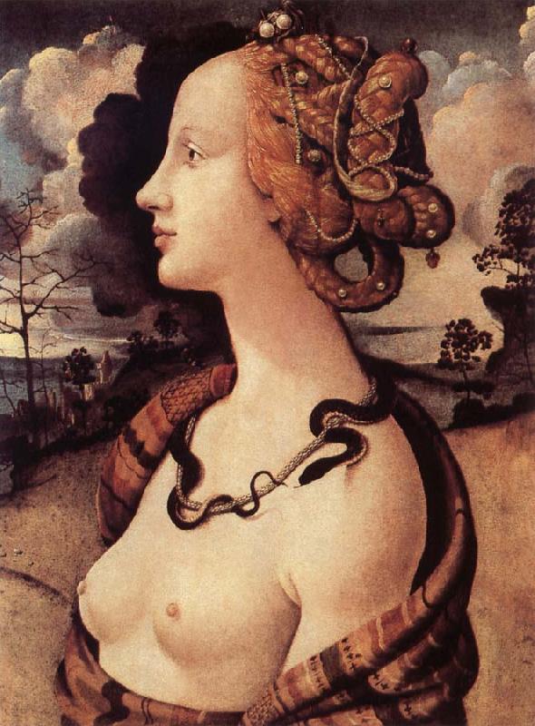Piero di Cosimo Portrat of Simonetta Vespucci Germany oil painting art